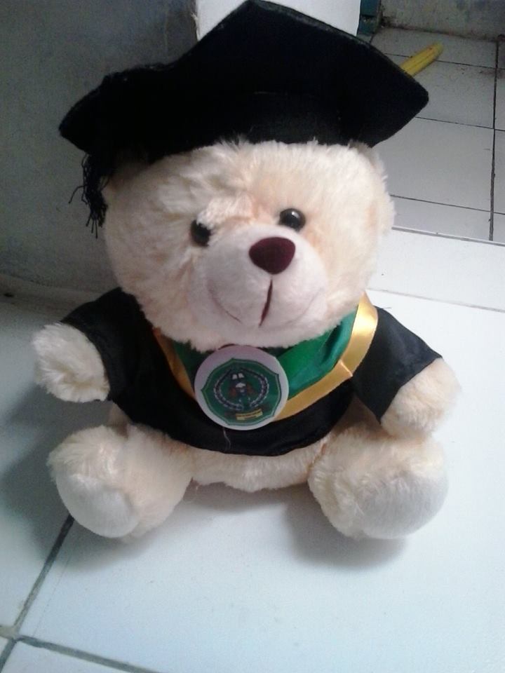 jual boneka wisuda 20 cm kara collection jual boneka wisuda 20 cm kara collection