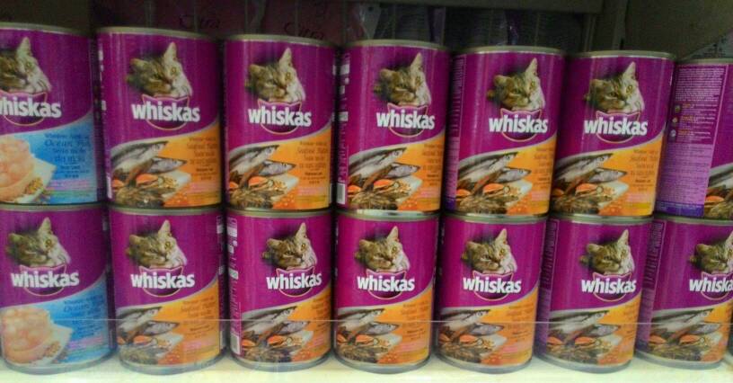jual makanan kucing whiskas kaleng dp cellular jual makanan kucing whiskas kaleng dp cellular