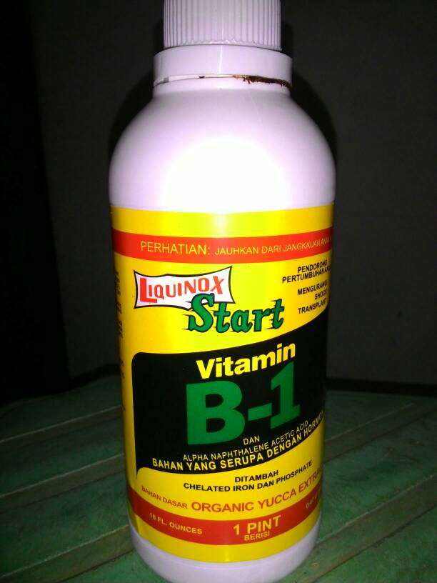 jual liquinox vit b1 470 ml ferguse store jual liquinox vit b1 470 ml ferguse store