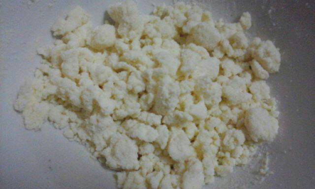 jual bibit kefir guntorotech jual bibit kefir guntorotech