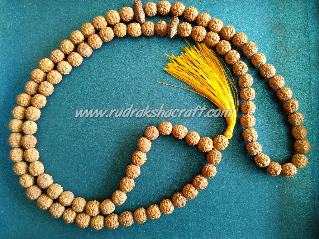 jual tasbih muslim rudraksha jenitri ganitri genitri jual tasbih muslim rudraksha jenitri ganitri genitri