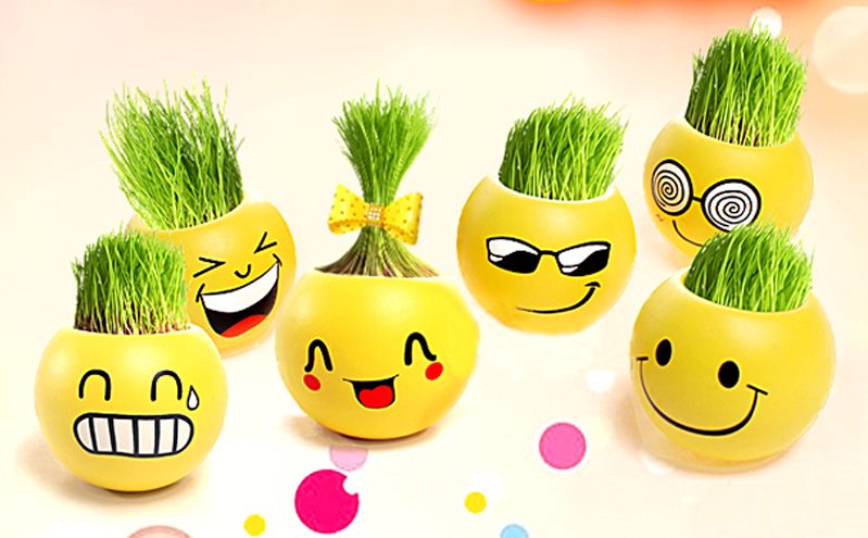 jual mini pot emoticon pot mini emoticon lucu dan unik erine unique house jual mini pot emoticon pot mini emoticon lucu dan unik erine unique house
