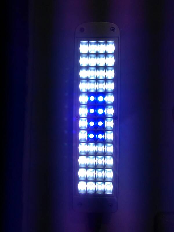 jual lu led aquarium lu jepit luckiness 868 jual lu led aquarium lu jepit luckiness 868