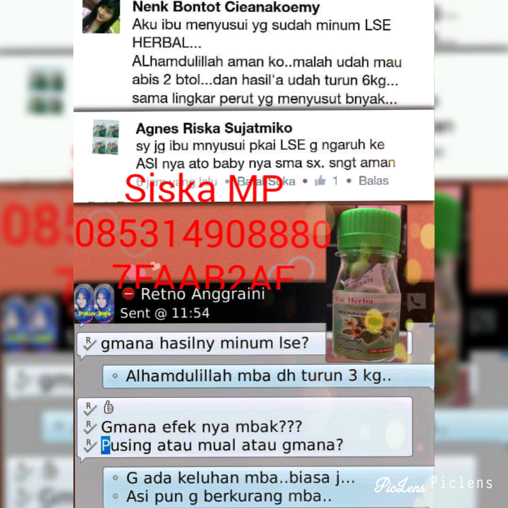 jual obat pelangsing herbal quot lse quot slim herbal jual obat pelangsing herbal quot lse quot slim herbal