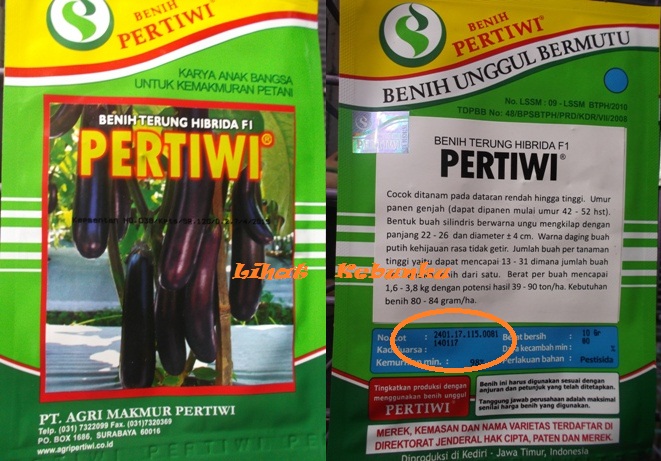 jual benih terong ungu lihat kebunku jual benih terong ungu lihat kebunku
