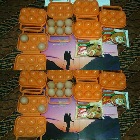 jual pelindung telur isi 6 butir lapak kq5 jakarta jual pelindung telur isi 6 butir lapak kq5 jakarta