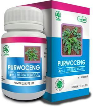 purwoceng hiu penambah stamina pria 1
