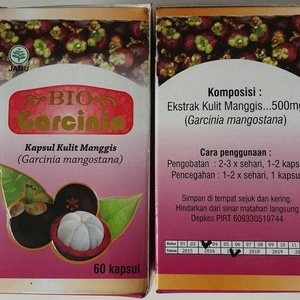 kapsul kulit manggis bio garcinia