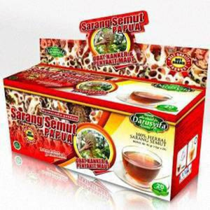 teh celup sarang semut papua darusyifa
