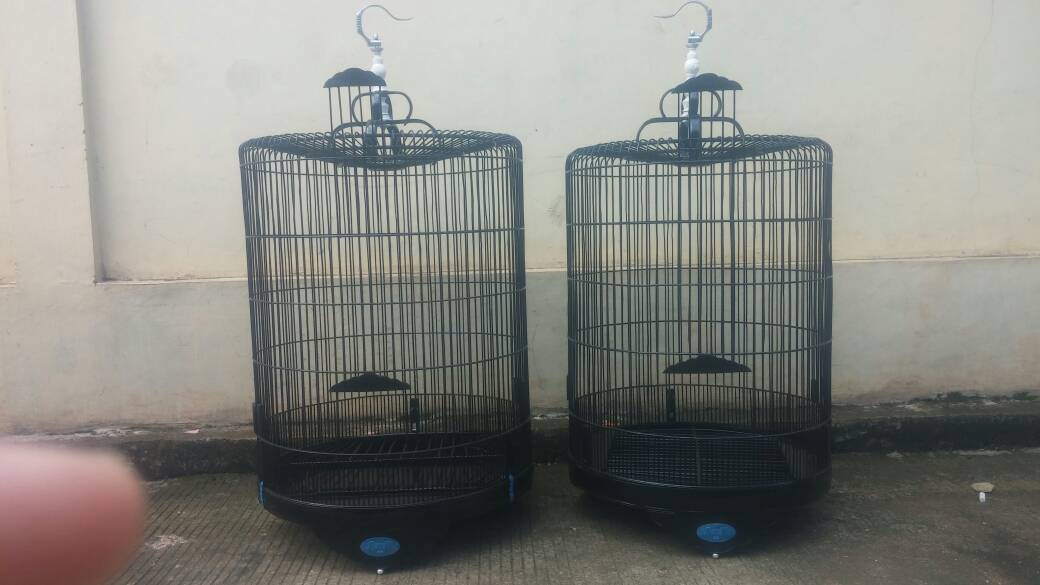 jual sangkar bnr murai no 1 atau no 2 original sangkar bnr jual sangkar bnr murai no 1 atau no 2 original sangkar bnr