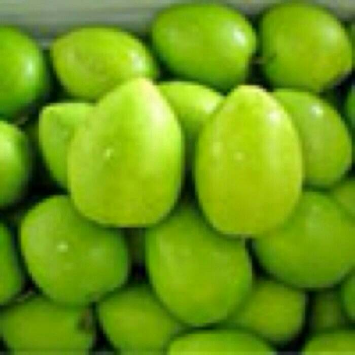 jual fresh buah bidara oval segar fresh mart surabaya jual fresh buah bidara oval segar fresh mart surabaya