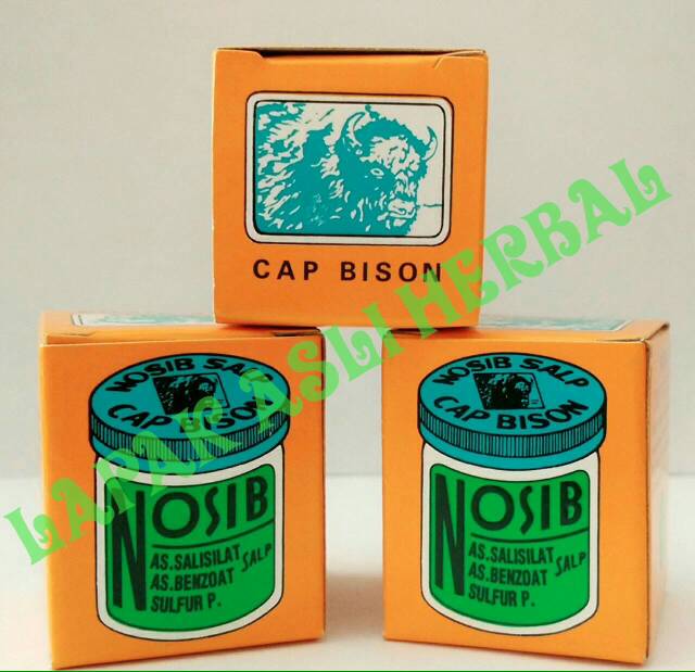 jual nosib salep cap bison 14 gram lapak asli herbal jual nosib salep cap bison 14 gram lapak asli herbal