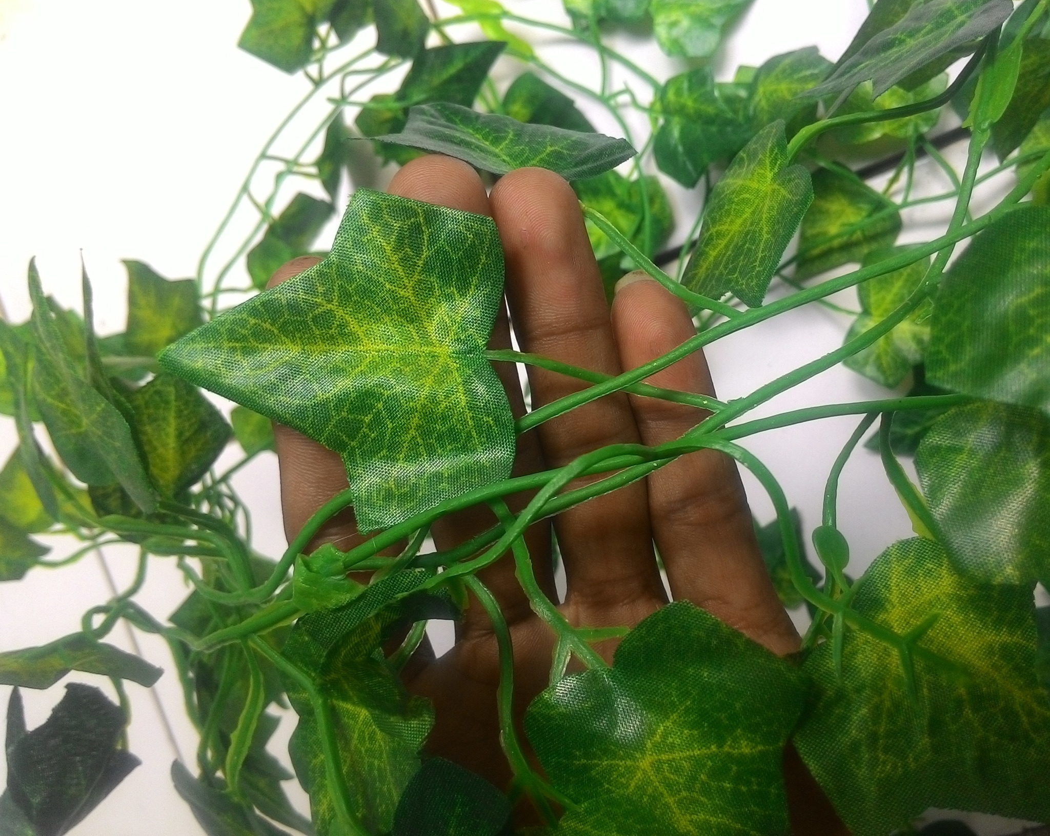 jual daun hias daun artificial daun rambat daun jual daun hias daun artificial daun rambat daun