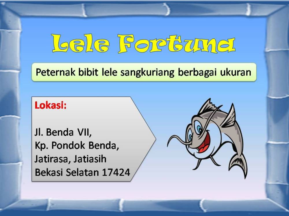jual bibit lele benih lele segala ukuran di indonesia jual bibit lele benih lele segala ukuran di indonesia