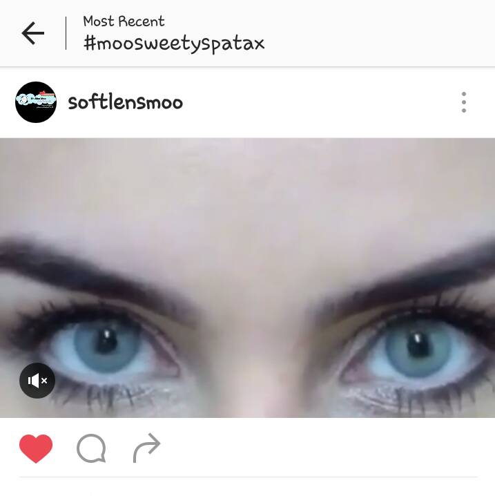 jual sweety spatax grey gray by sweety plus softlens jual sweety spatax grey gray by sweety plus softlens