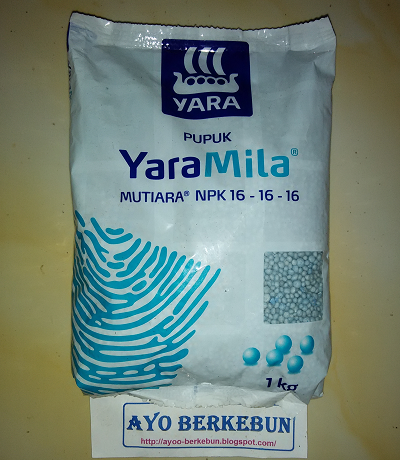 jual pupuk npk mutiara yaramila yara mila 16 16 16 ayo jual pupuk npk mutiara yaramila yara mila 16 16 16 ayo