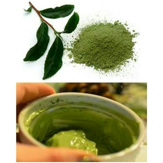 jual masker wajah kefir green tea guntorotech jual masker wajah kefir green tea guntorotech