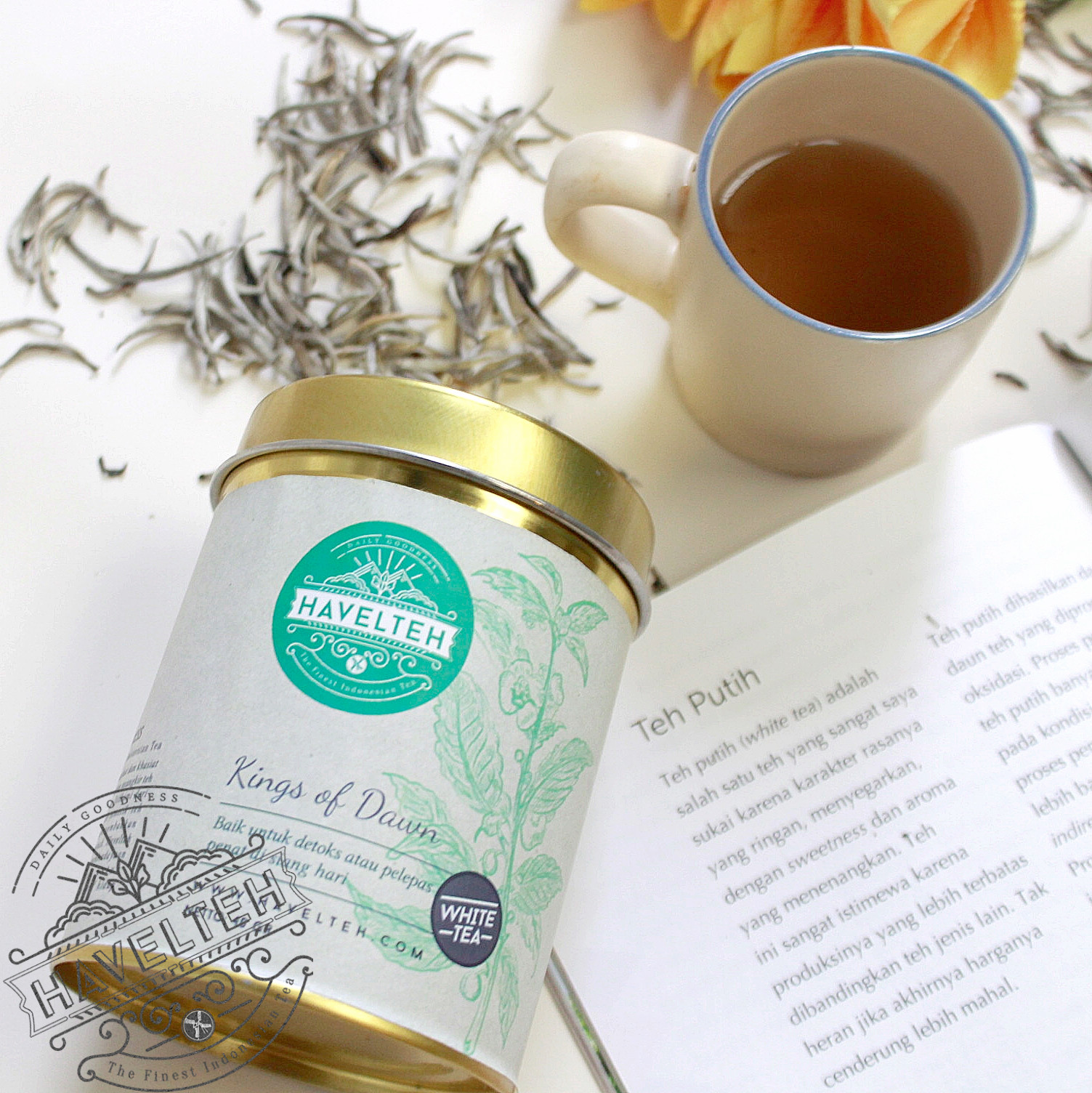 jual teh putih white tea silver needle of merk havelteh havelteh jual teh putih white tea silver needle of merk havelteh havelteh
