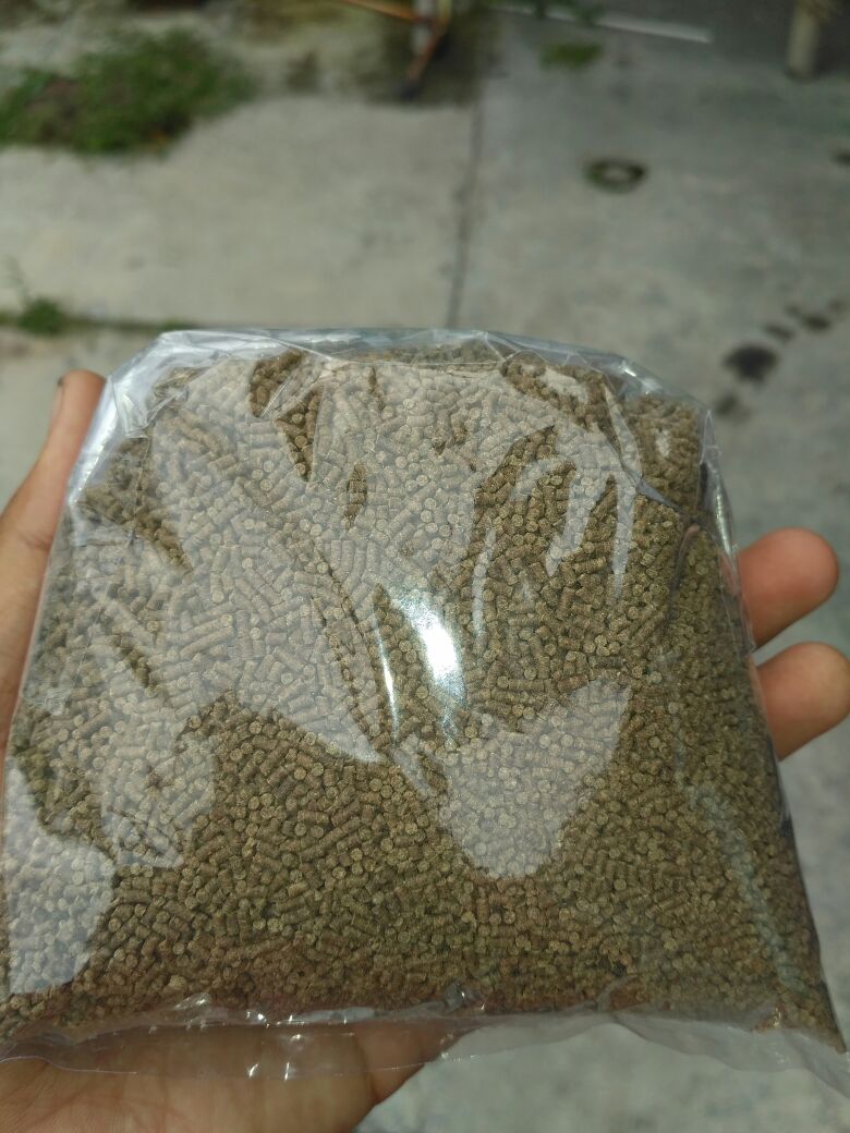 jual pakan ikan udang lobster protein 40 tenggelam jual pakan ikan udang lobster protein 40 tenggelam
