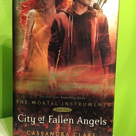 City Of Fallen Angels Book