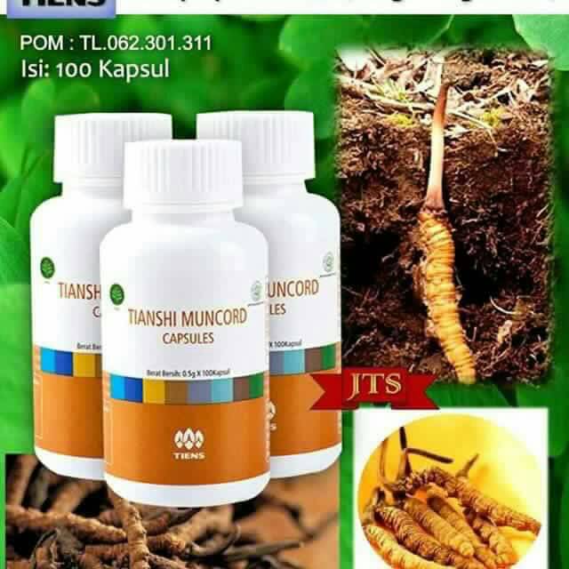 jual muncord tiens antibiotik alami cordyceps perbaiki ginjal hati limpa wellymajesty jual muncord tiens antibiotik alami cordyceps perbaiki ginjal hati limpa wellymajesty