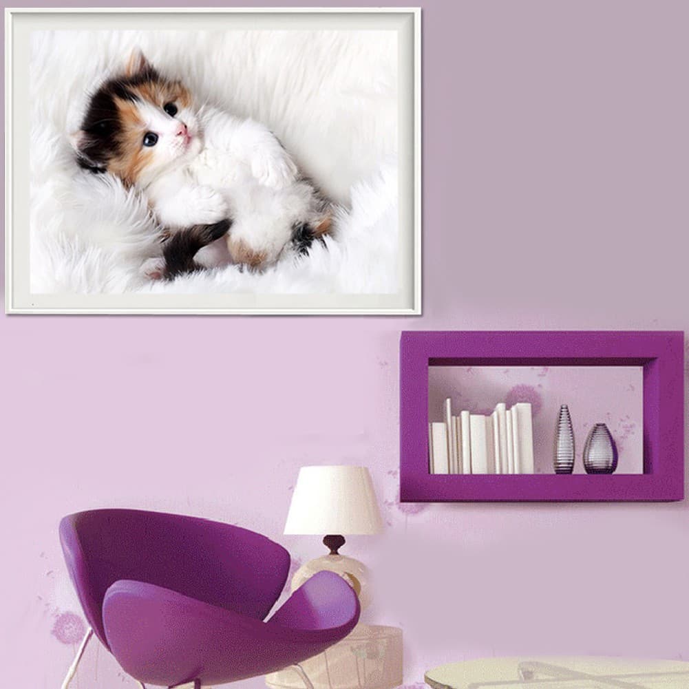 78 Gambar Kucing Warna Putih Kekinian 78 Gambar Kucing Warna Putih Kekinian