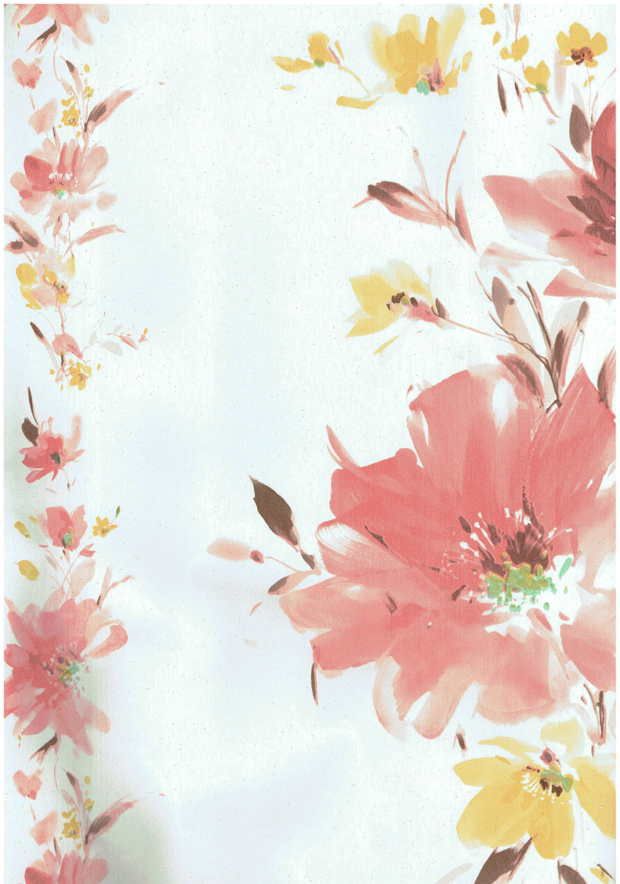 4000 Wallpaper Bunga Kering HD Paling Baru 4000 Wallpaper Bunga Kering HD Paling Baru