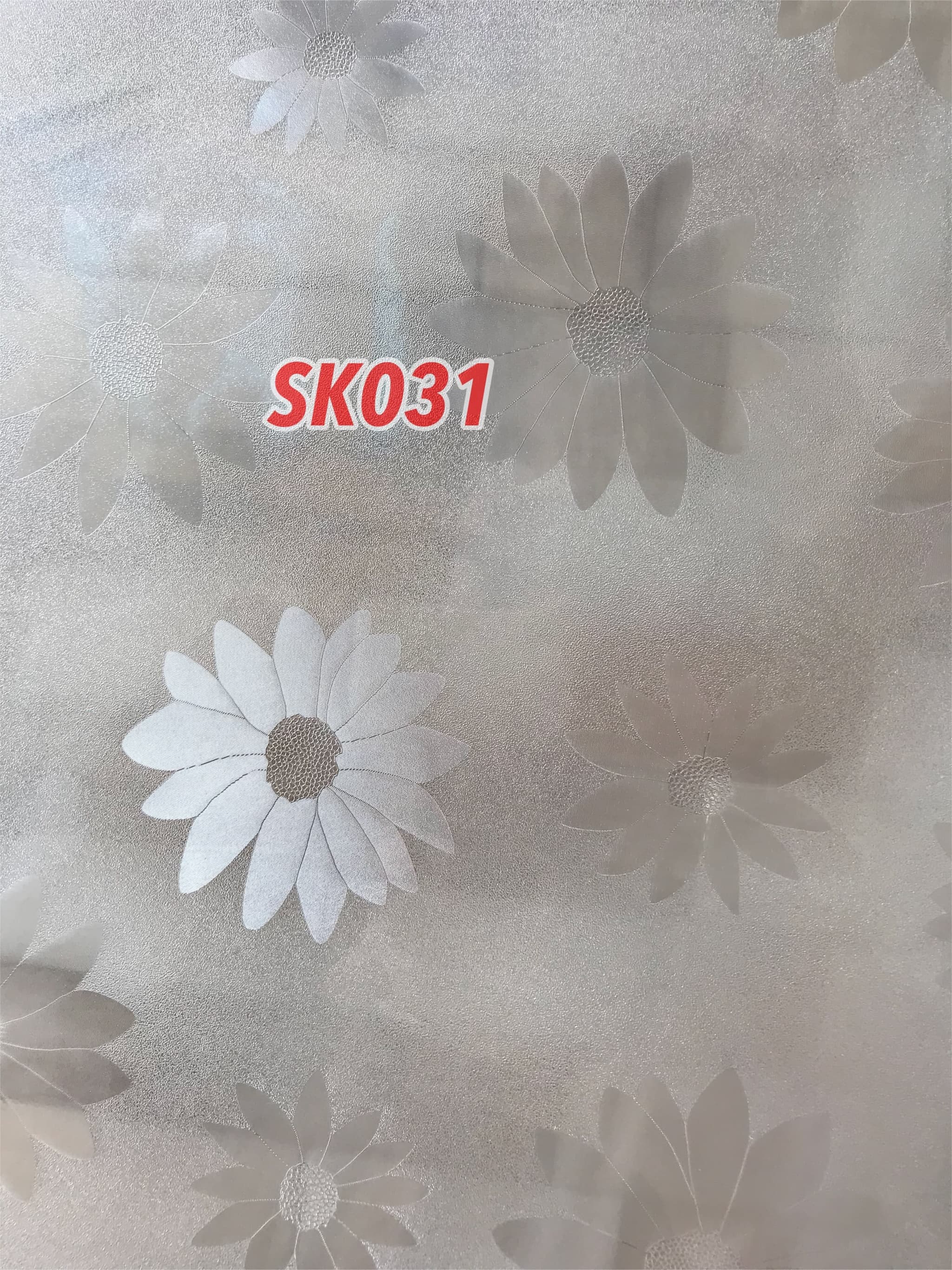 Download 2000 Wallpaper Bunga Daisy HD Terbaik Download 2000 Wallpaper Bunga Daisy HD Terbaik
